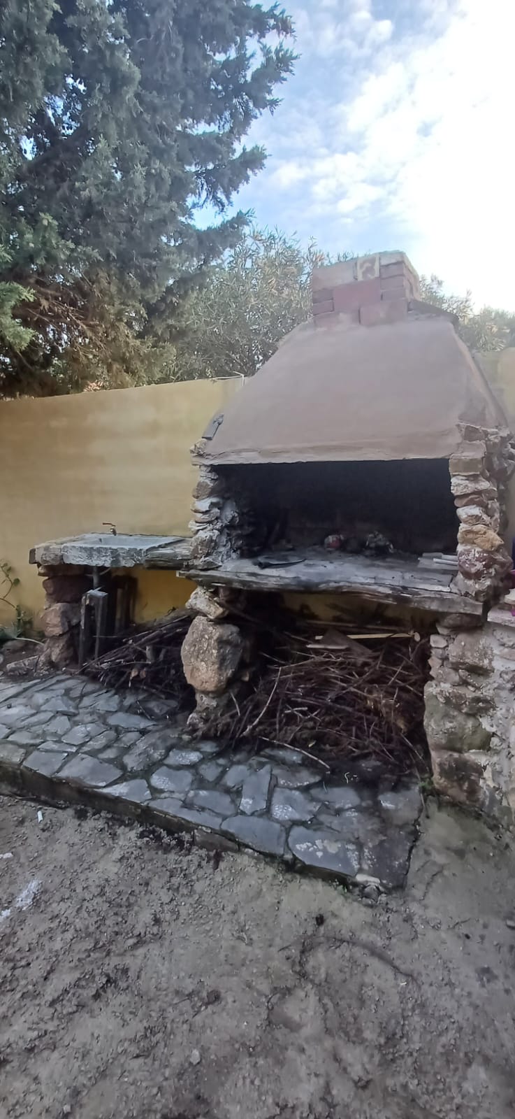 Cuisine et barbecue
